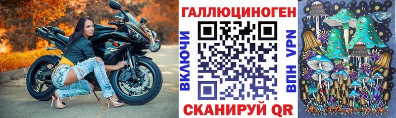 Купить  Бабушкин  Псилоцибиновые грибы MAGIC MUSHROOMS 